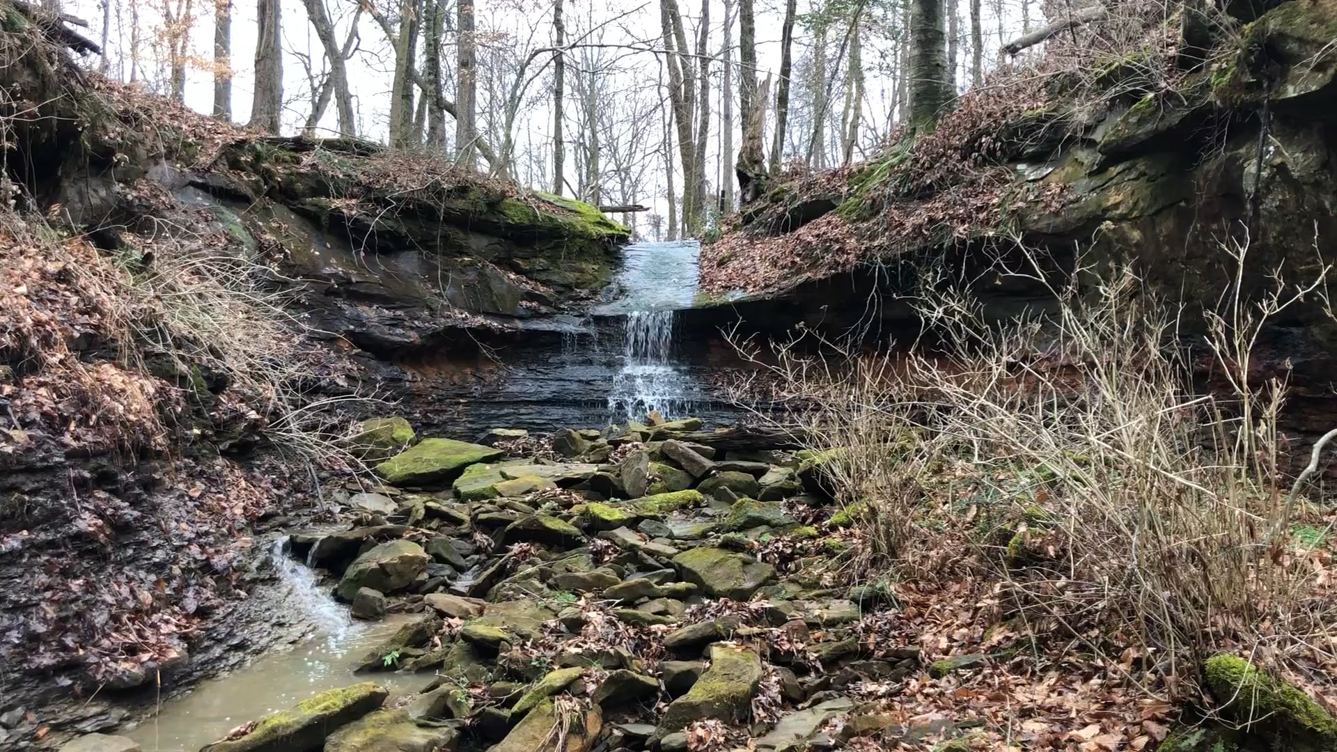 Waterfall on the property