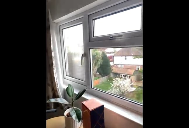 Very large double room in Sutton Main Photo