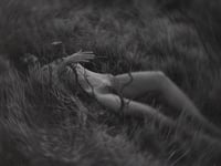 الصل الناشر الملكي