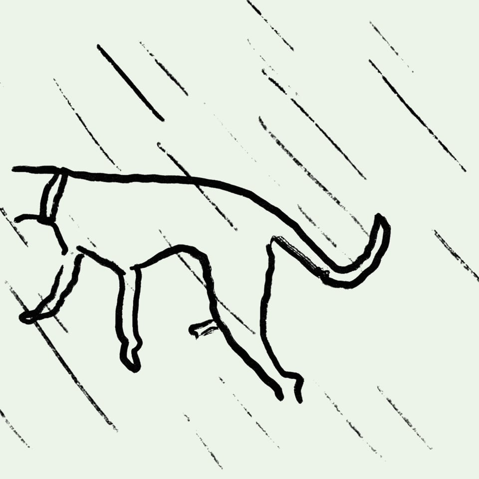 3_hellafied_DELIVERY