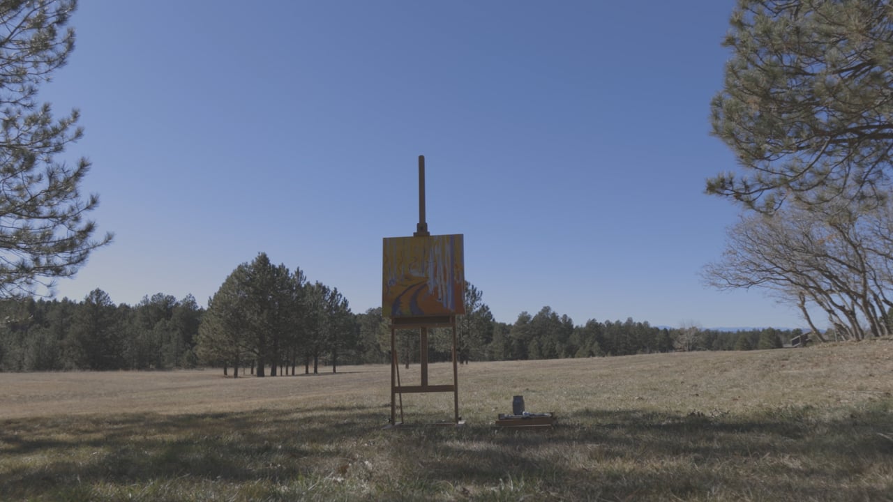 Denise Richardson Art