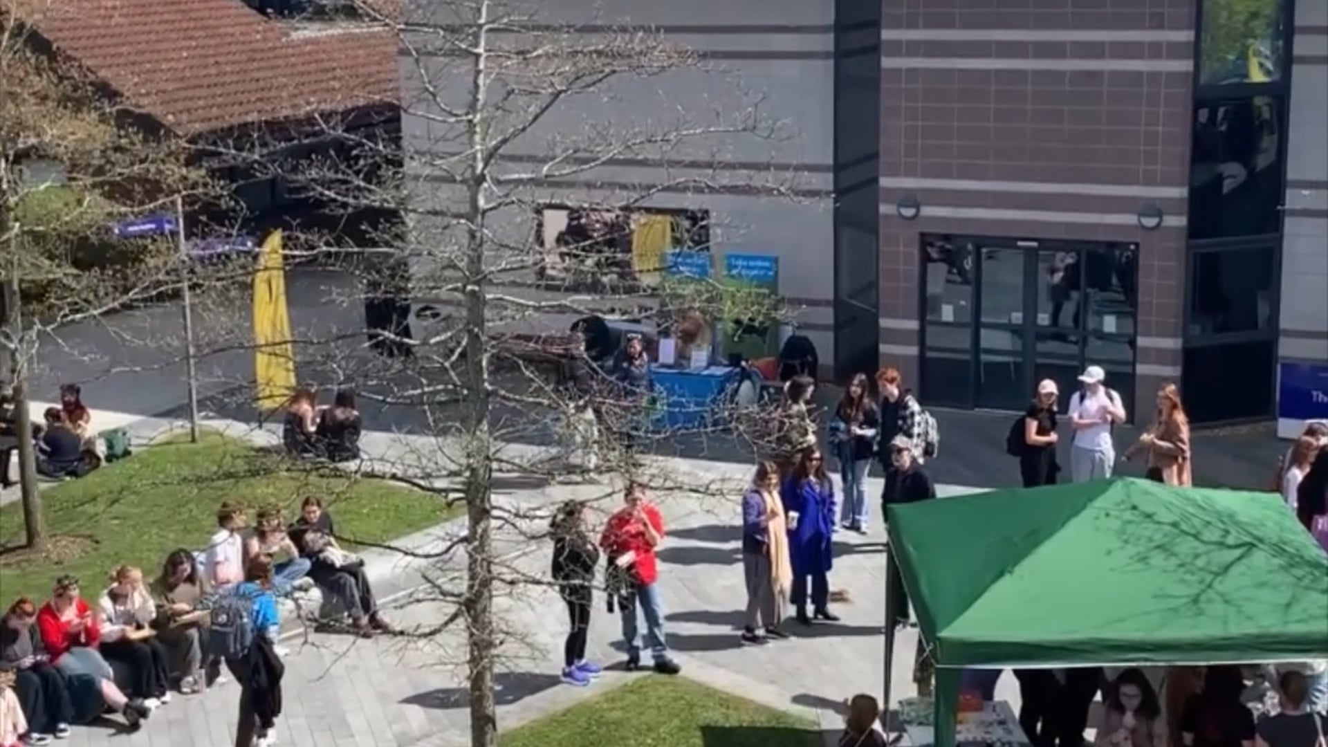 Spring Fair – April 2024