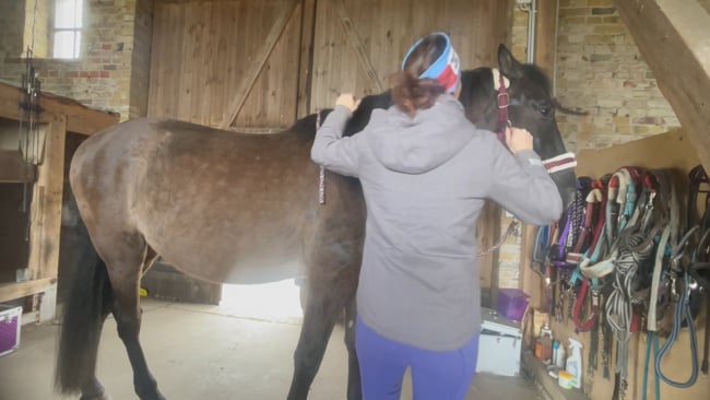 Teil 3: Energetische Rückenmobilisation