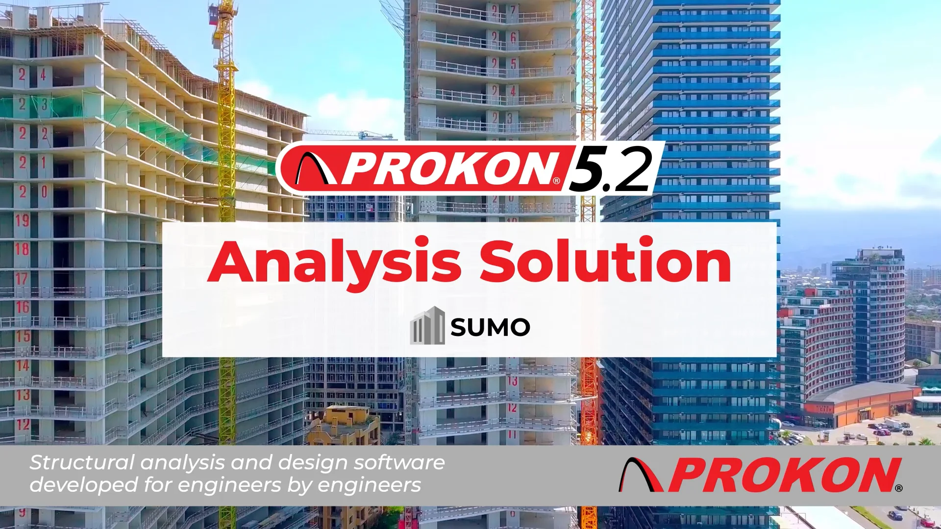 Sumo Structural Analysis