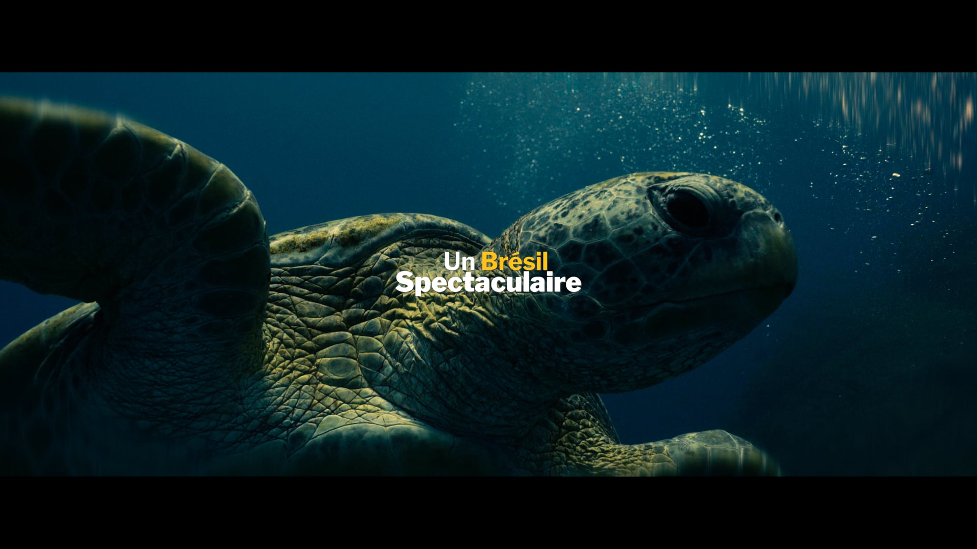 Embratur [] Un Brésil Spectaculaire [] DC - EN