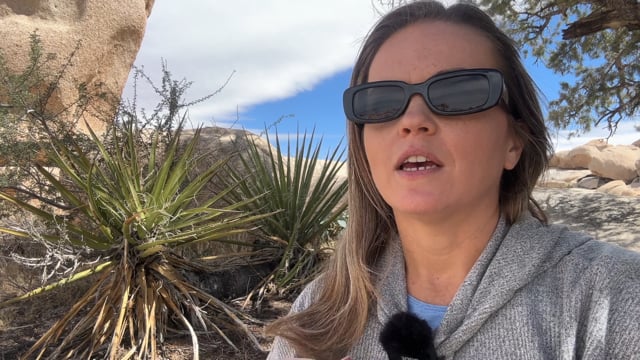 Staci Talley • Filmmaker Retreat