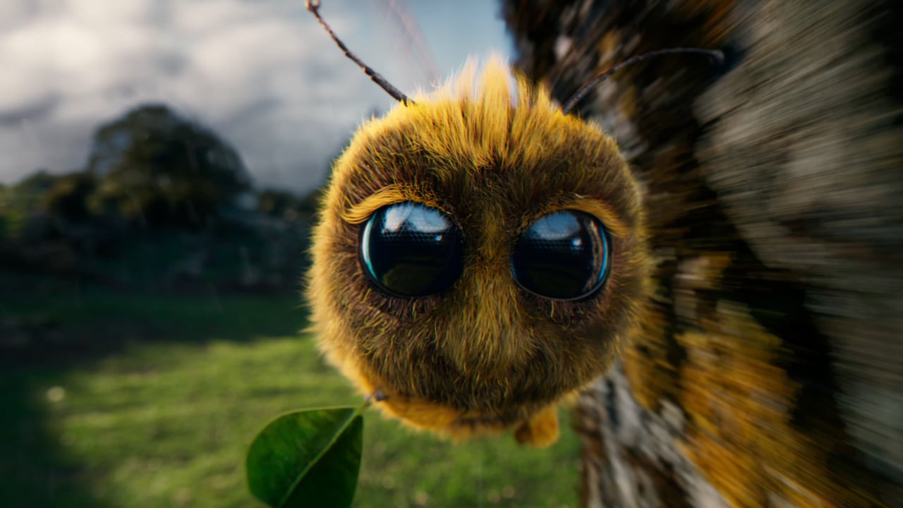 Vorschaubild von Regen