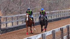 動画サムネイル