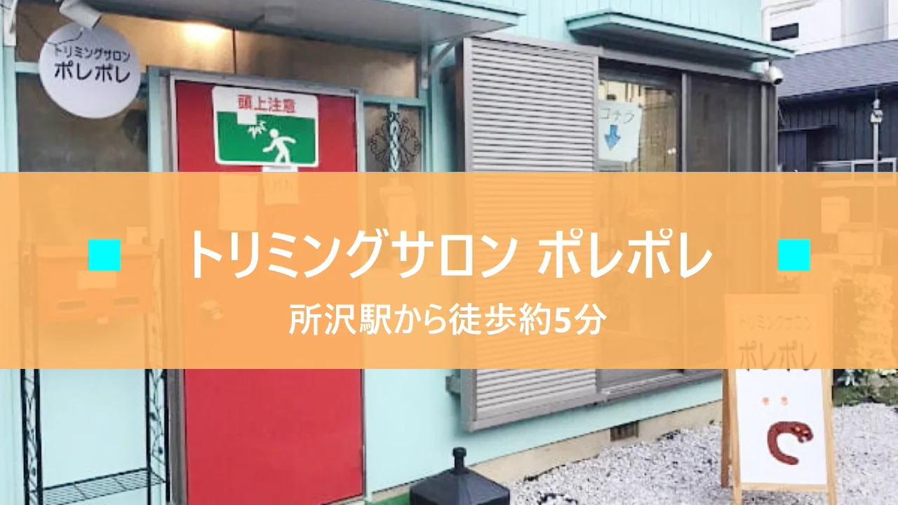 ペット ライフ 所沢