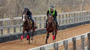 動画サムネイル