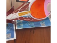 Related Embedded Video Item Thumbnail