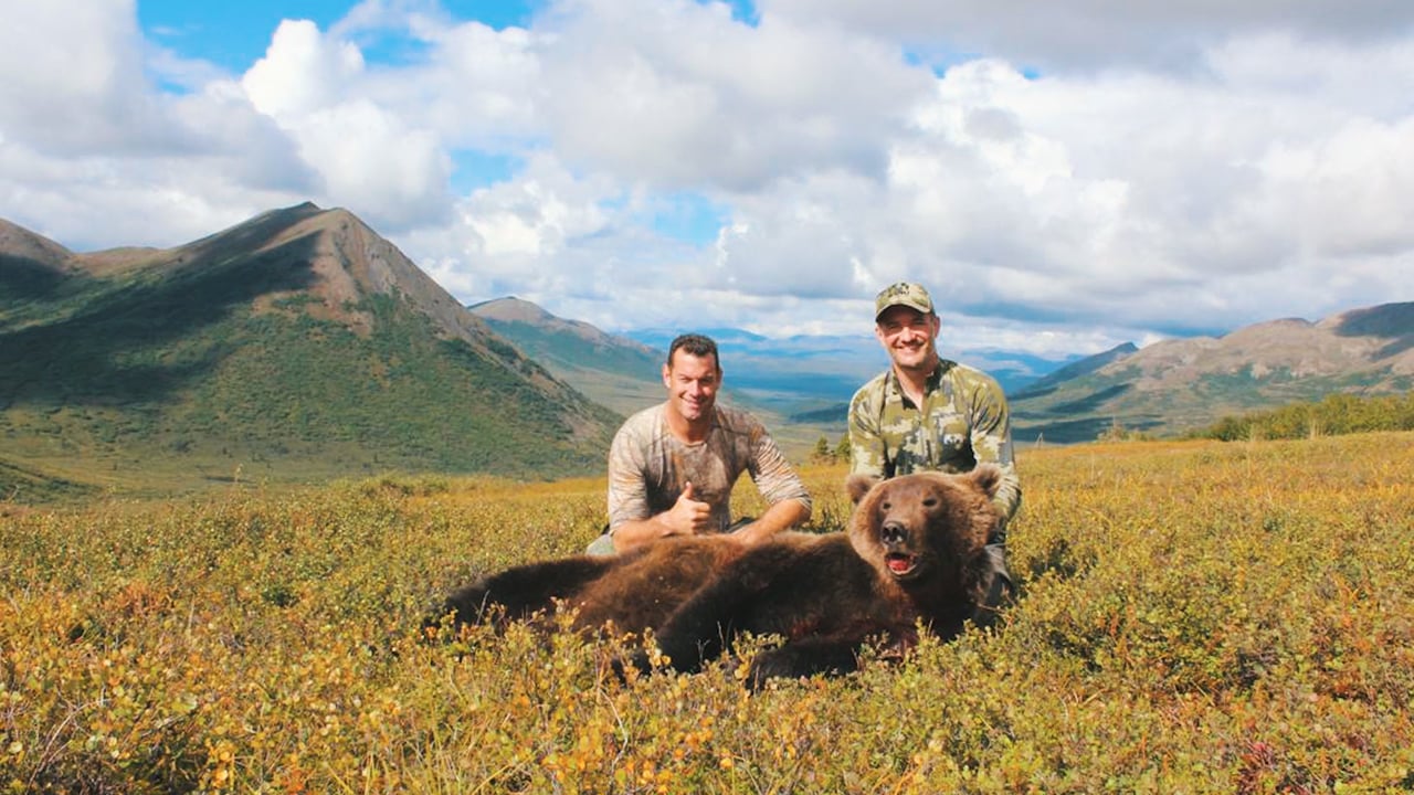 About Track Of The Grizzly