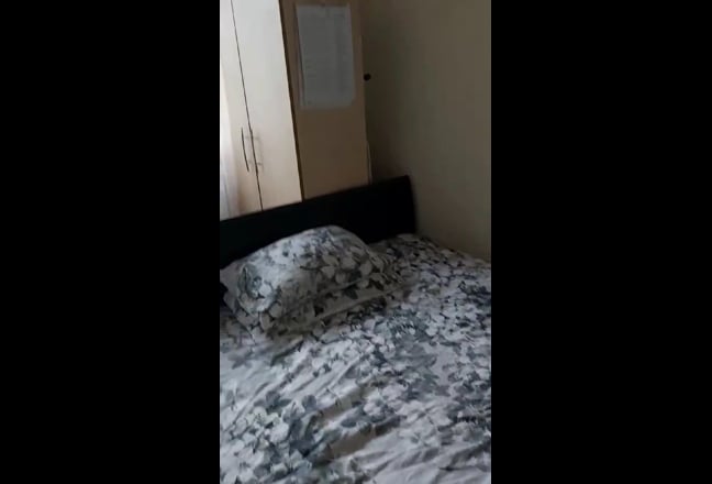 Female Flatmate Main Photo