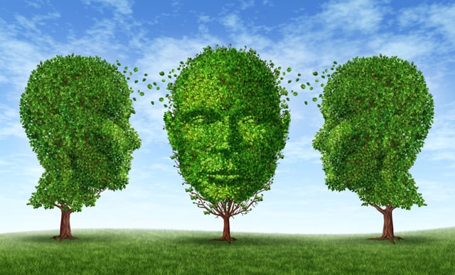Thumbnail for 'Part 1 &#8211; CSR &#038; ESG definitions' video