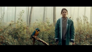 About A Bird - Trailer
