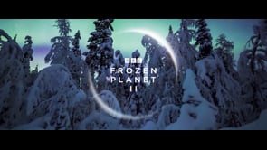 Frozen Planet  II - Trailer
