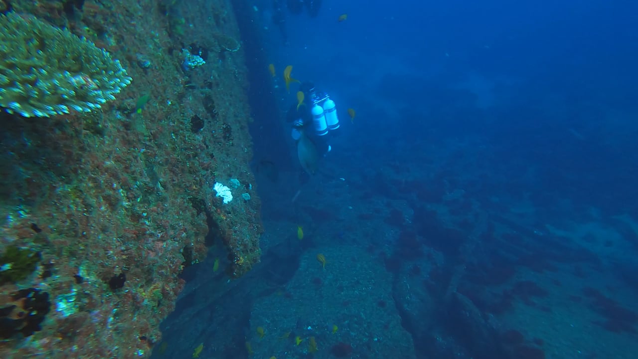 Brisbane Scuba Video Gallery Brisbane Scuba Dive Trips & Scuba