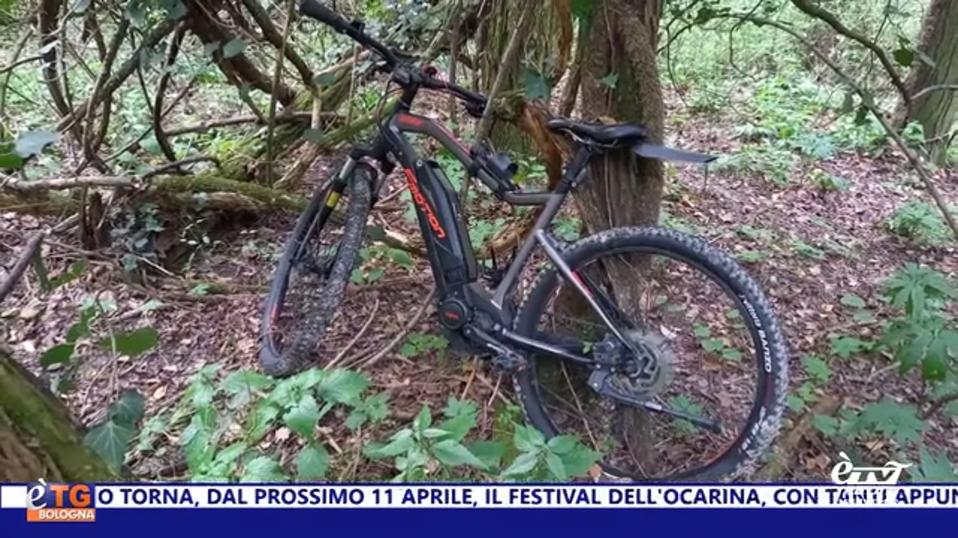 èTG –  Edizione Giorno 01/04/2024