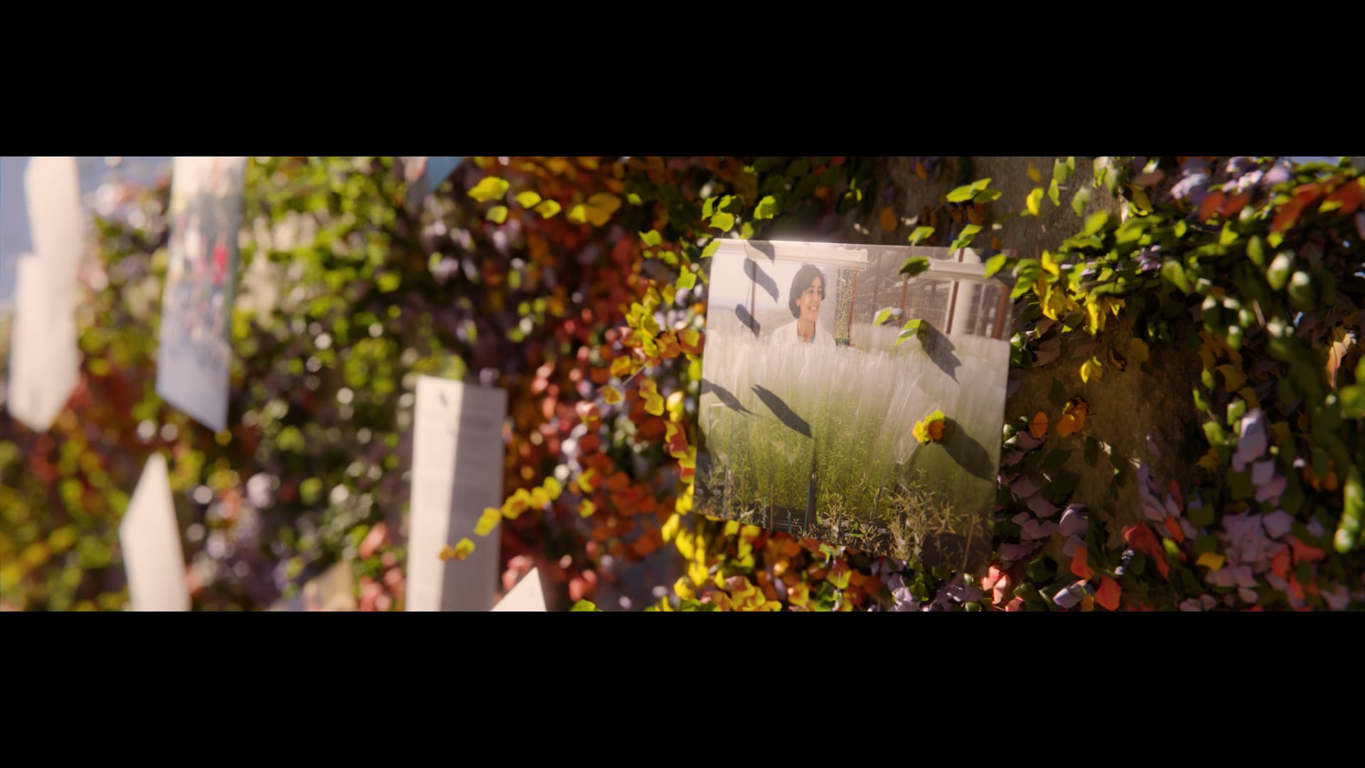 2024 Emmy Winner - How Plants Can Save the World - 2024 Life Science Medalist, Joanne Chory