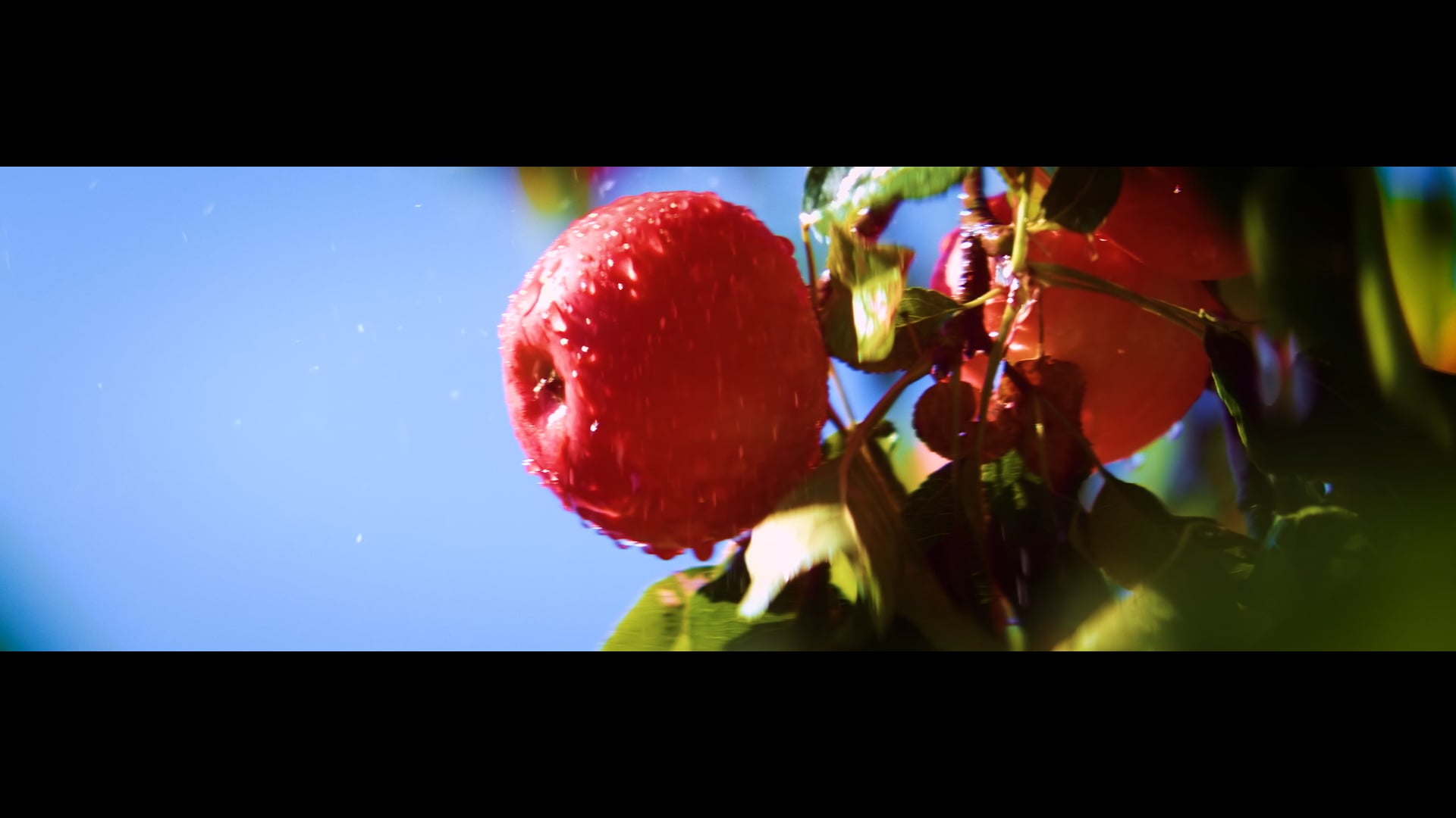 Shine - 2024 NextGen Award recipient, Gabriela Schlau-Cohen