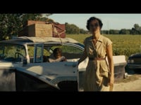 Tell The Judge True View