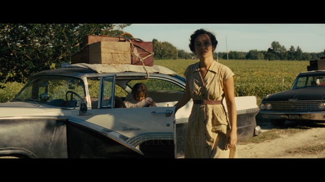 Tell The Judge True View