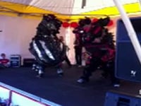 The Lion Dance performed by Wong Sheung Kung Fu Club.