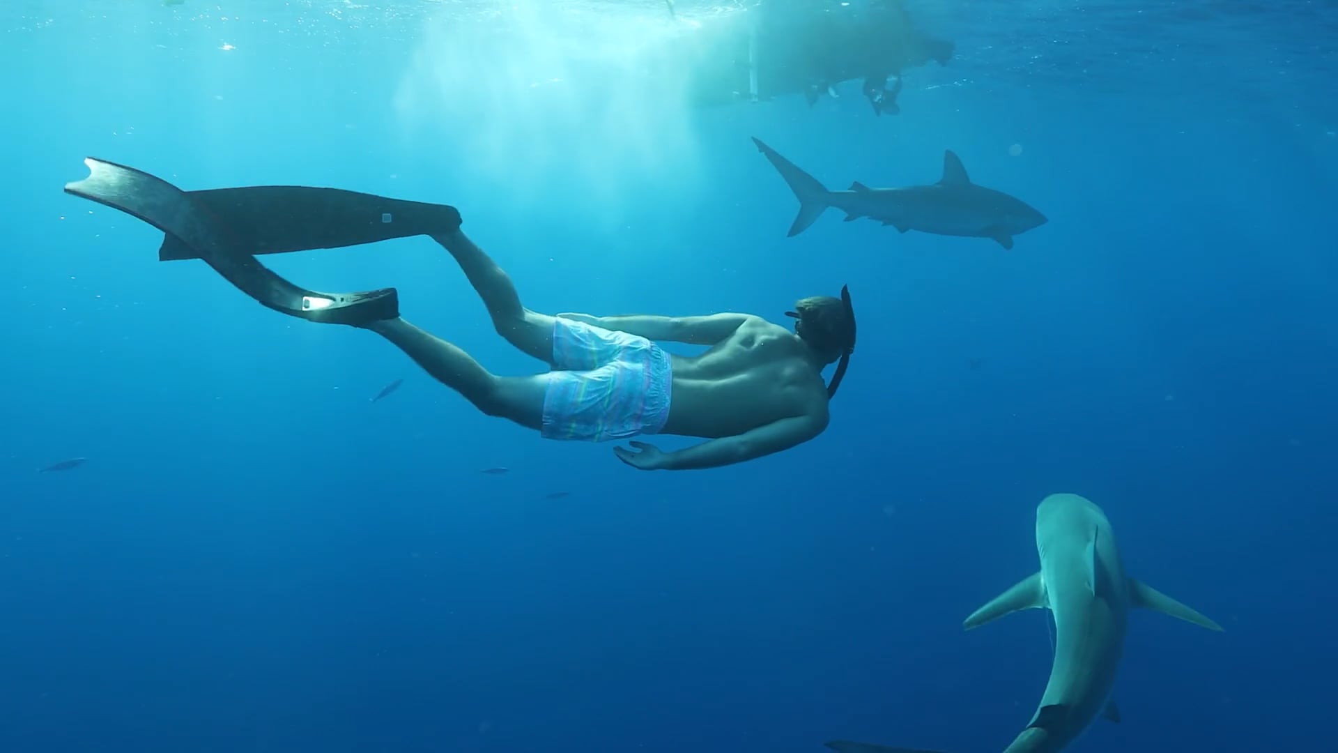 Chubbies | Proper Length Shorts | Commercial