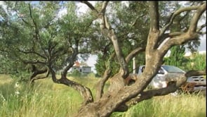 اشتباكات بين مقاتلي لواء الرشيد و قوات النظام  في محيط بلدة الفوعة في ريف إدلب