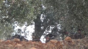 انتشار مقاتلي تجمع ثوار الأتارب لبدء معركة السيطرة على الفوج 46  في محيط الأتارب من تنظيم داعش