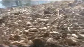 استهداف حاجز كمب الألمان كتيبة الفقار بالاشتراك مع كتيبة شيخ الإسلام ابن تيمية في ريف إدلب