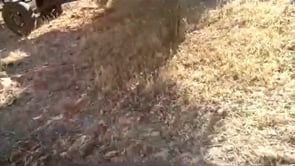 استهداف مقرات النظام في قرية الربيعة في ريف حماة بصواريخ غراد من قبل لواء إمام المجاهدين