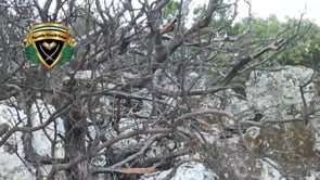 لحظة مقتل أنس شيخاني أحد عناصر اللواء الأول الجبهة الغربية أثناء الإشتباكات مع قوات النظام في جبل الأكراد في ريف اللاذقية