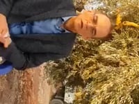 لقاء مباشر مع السيد هادي البحرة من داخل سورية الائتلاف الوطني لقوى الثورة