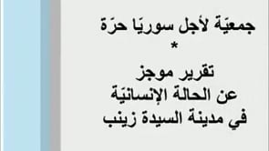 لقاء مع رئيس المجلس المحلي في مدينة السيدة زينب و تقرير عن الاحوال الانسانية في المدينة