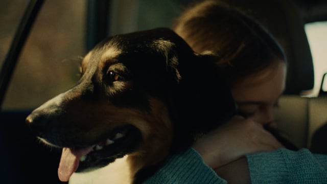 Finley commercial still