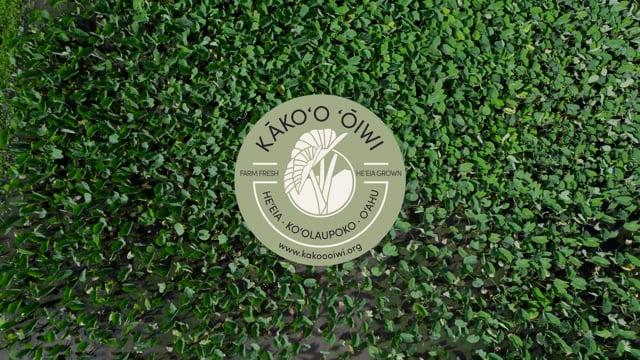 Kamehameha Schools-Impact Stories-Kakoo Oiwi