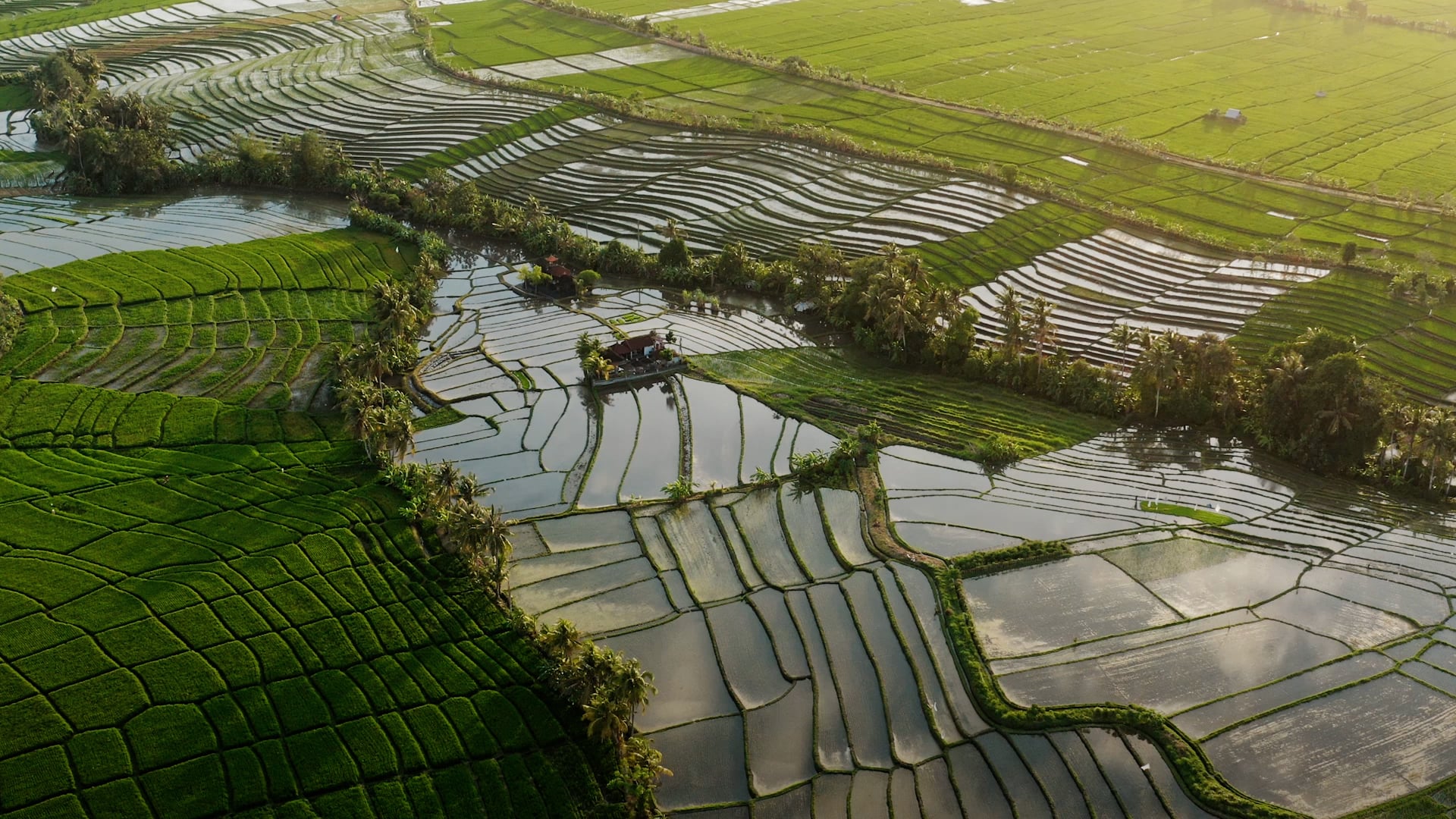 Reach52 | Brand Video