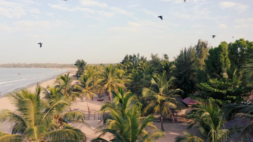 vimeo-video-thumbnail