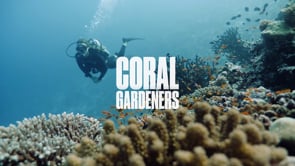 Editor and Story Producer // Oceans 8 Media // A branded short doc for Soneva Fushi