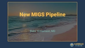 Williamson - New MIGS Pipeline