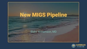 Williamson - New MIGS Pipeline