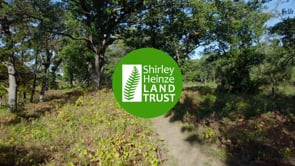 Shirley Heinze | Fundraiser 2024