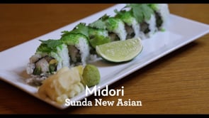 Related Embedded Video Item Thumbnail