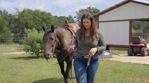 Brand Message Video for Georgia Home and Farm Sales