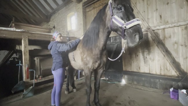 Teil 4: drei Strömgriffe zur Anwendung