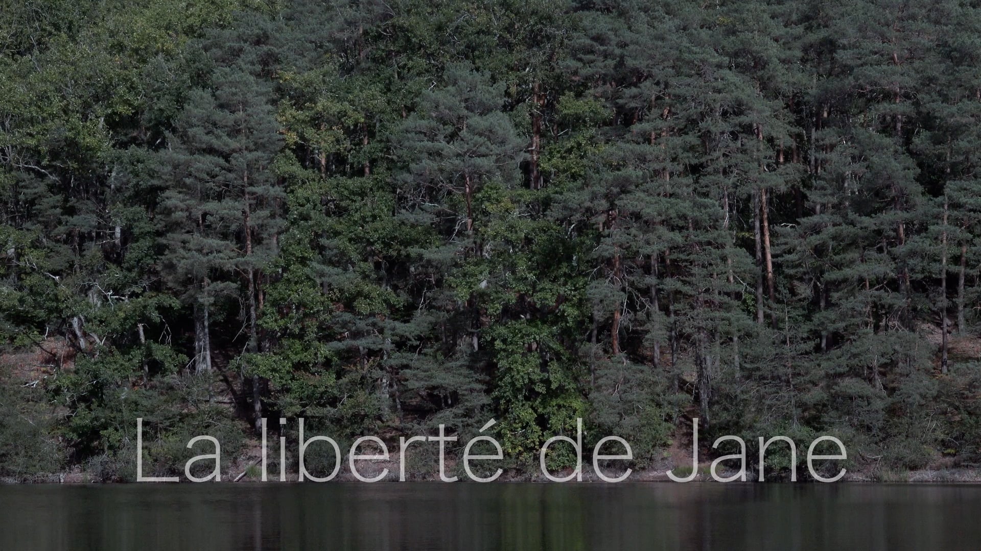 06_LEGENDE_JANE_HDST