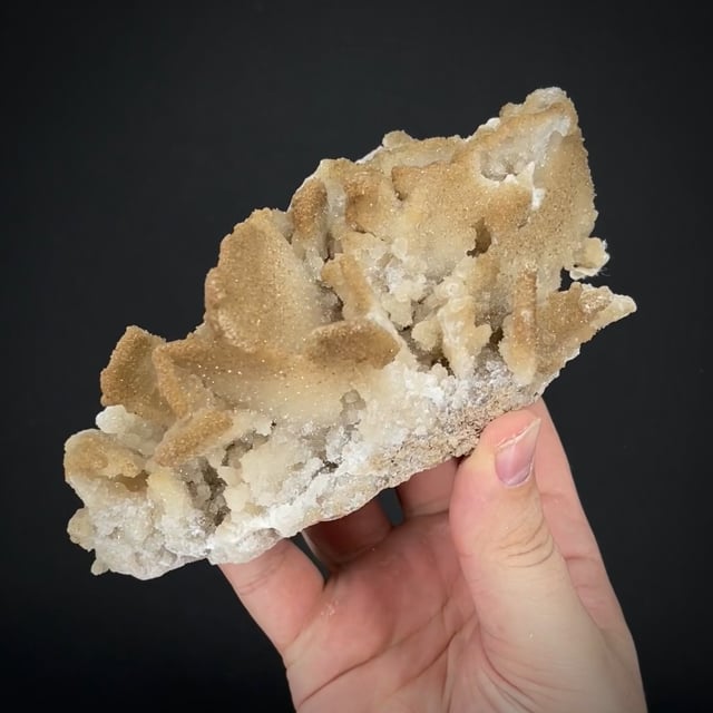 Colemanite ps. Inyoite | Corkscrew Canyon Mine, Furnace Creek, Inyo Co ...