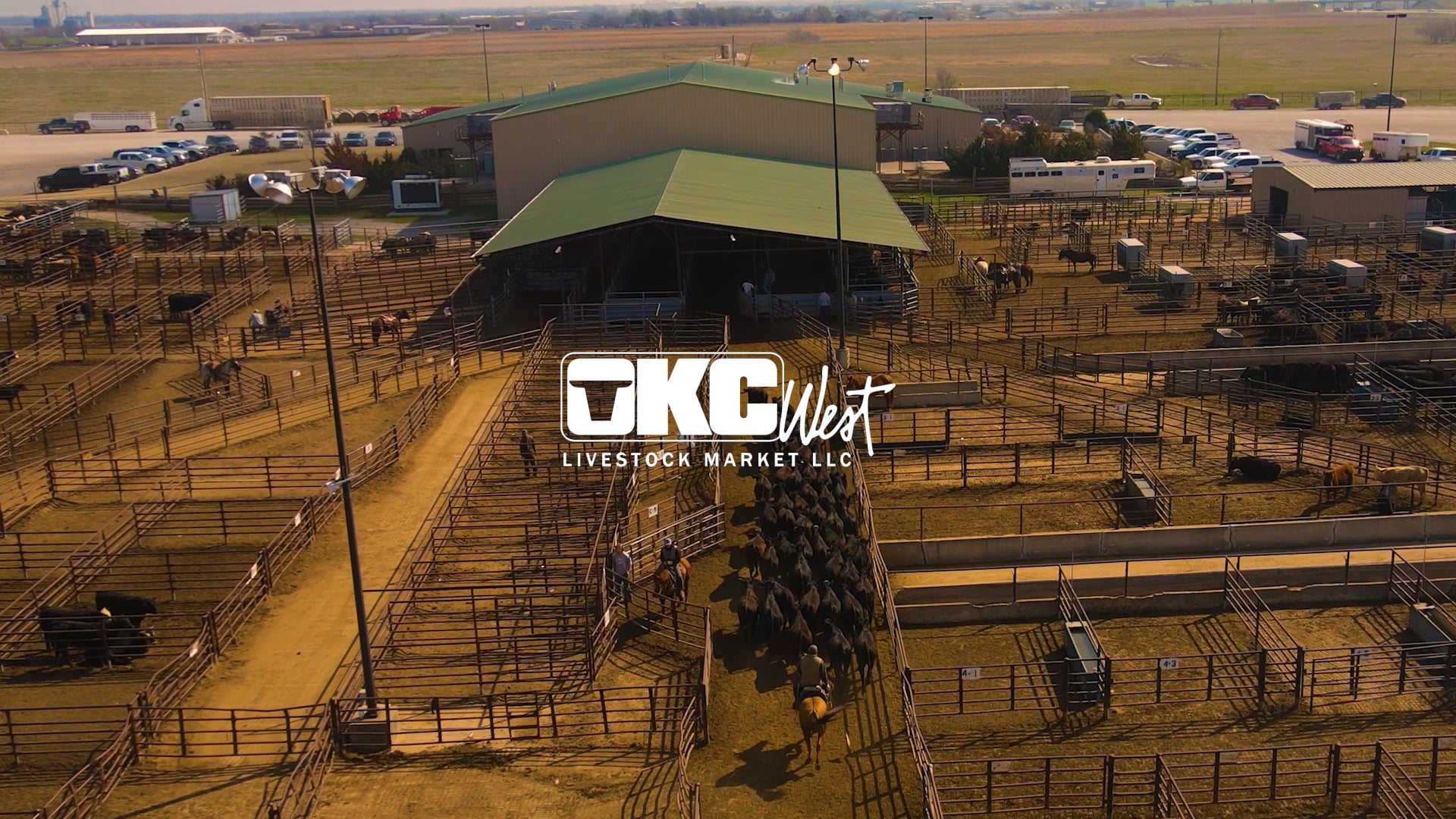 The Team | OKC West