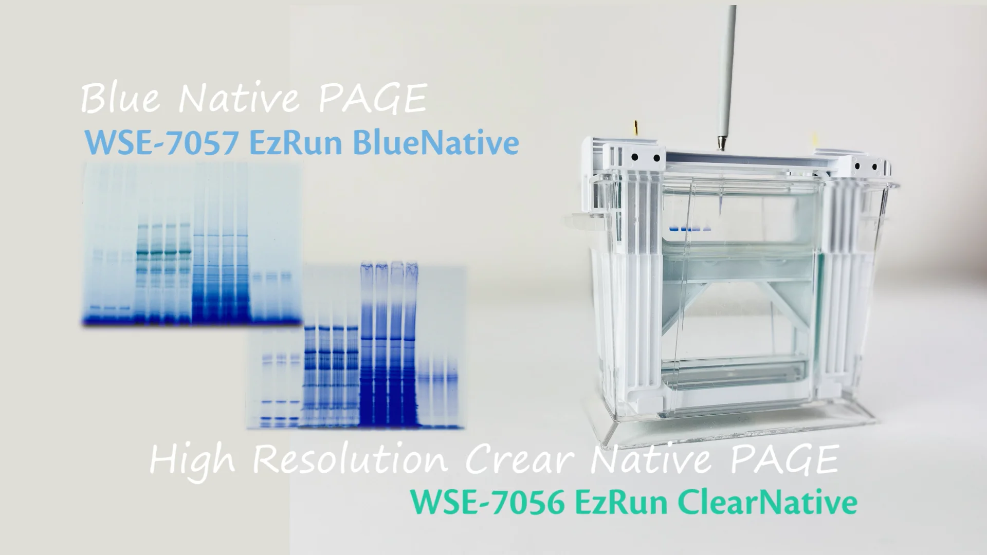 WSE-7057 EzRun BlueNative | 泳動バッファー | 電気泳動試薬 WSE-7057 EzRun BlueNative | 泳動バッファー | 電気泳動試薬